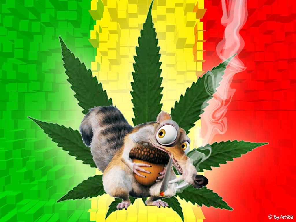 veverka_huli_tka