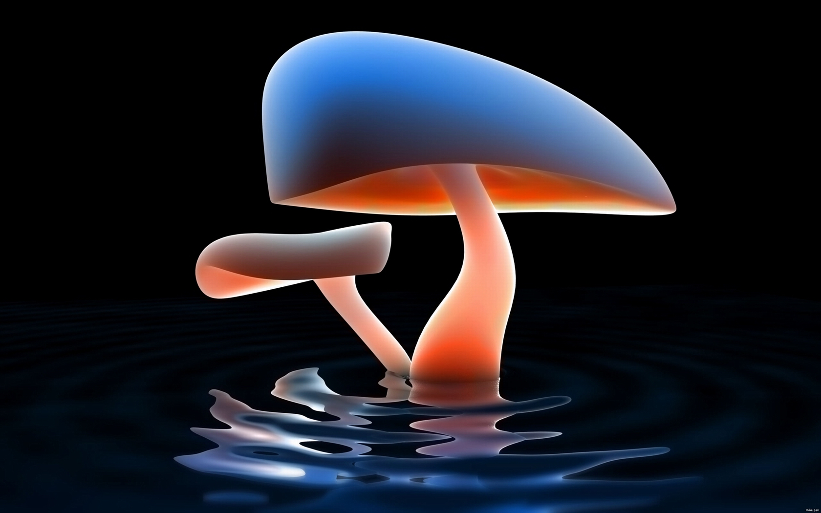 mushroom_lake