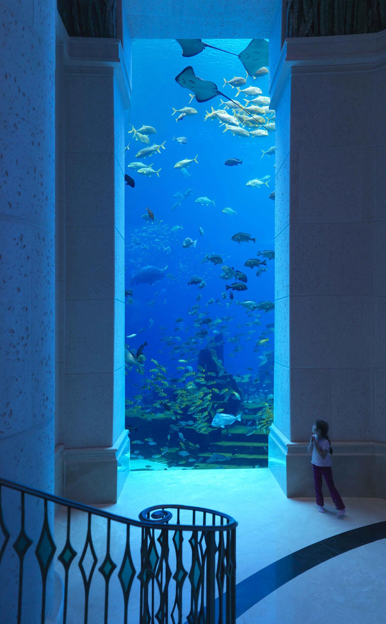 Ambassador_Lagoon_1_low_1